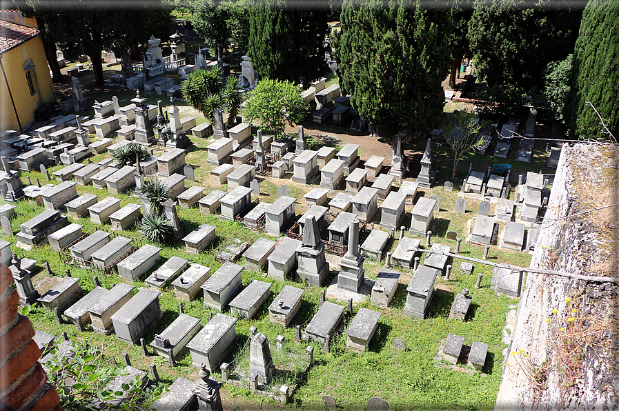 foto Camminamento delle mura di Pisa
